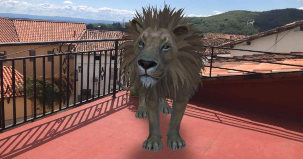 Cómo activar la realidad aumentada de Google para ver un tigre y otros  animales en 3D, paso a paso