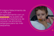 Hace unos días un niño de dos años murió atragantado en Valladolid después de atragantarse con un anacardo. Es muy necesario recordar cuáles son los alimentos prohibidos en niños por riesgo de atragantamiento.