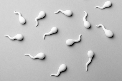 Conocido también bajo el nombre de espermiograma o espermograma, el análisis de semen es una prueba fundamental para valorar médicamente la fertilidad masculina. Por este motivo suele recomendarse su realización ante la imposibilidad de conseguir el embarazo.