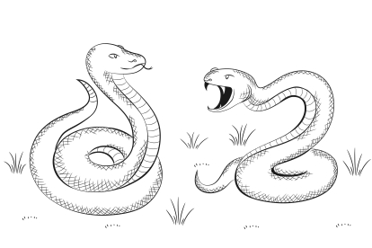 Cuento con moraleja: las dos serpientes