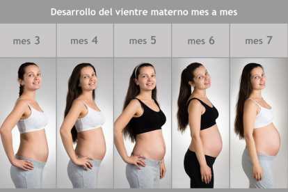 Mes a mes: ¿Cómo crece la barriga durante el embarazo?