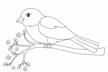 Pájaro posado en una rama para imprimir y colorear
