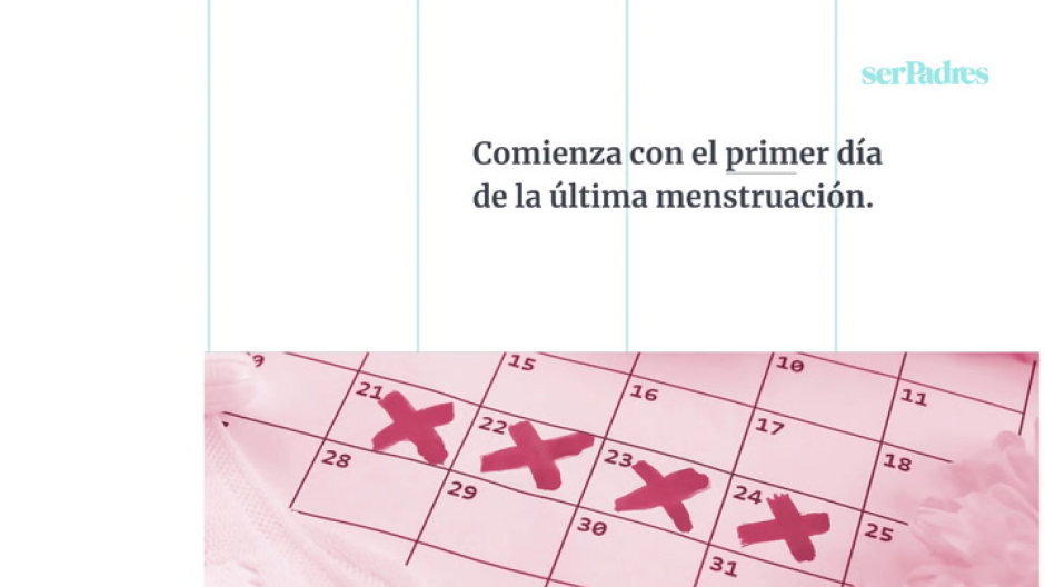 ¿cómo Se Calculan Las Semanas De Embarazoemk 8101