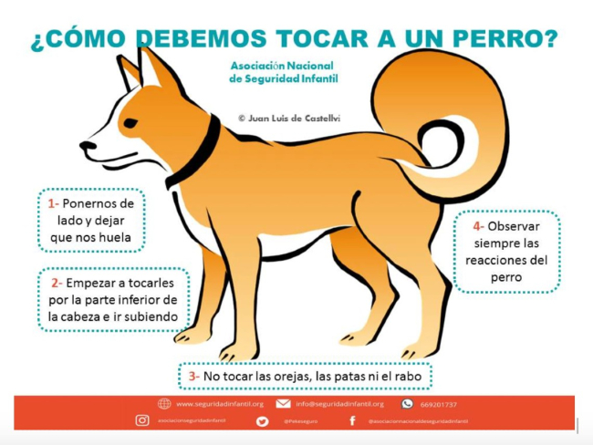 Infografía de Etología Canina