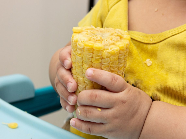 Con mis manitas. Descubre el Baby-Led Weaning - Todo Libro